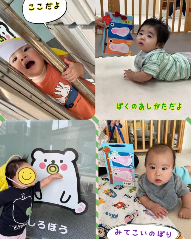 こんにちは、みやびハウスです。今週は、体調や天候の様子を見ながら,ひよこ組さんあひる組さんは戸外活動をしました。歩くことも上手になっていますね。色々観察、発見をして琉球新報社の蝶々の飼育場所では子どもたちが蝶々を見ている眼差しが嬉しく癒されました。また、たまご組さんも保育士との触れ合い遊びでは、気持ちよさそうな表情をしてくれてよかったです。これからもたくさん触れ合い遊びを入れていきたいと思います。体調の様子を見ながら、外気浴を取り入れたり、戸外活動を入れたいと思います。
#保育園 #戸外活動 #那覇