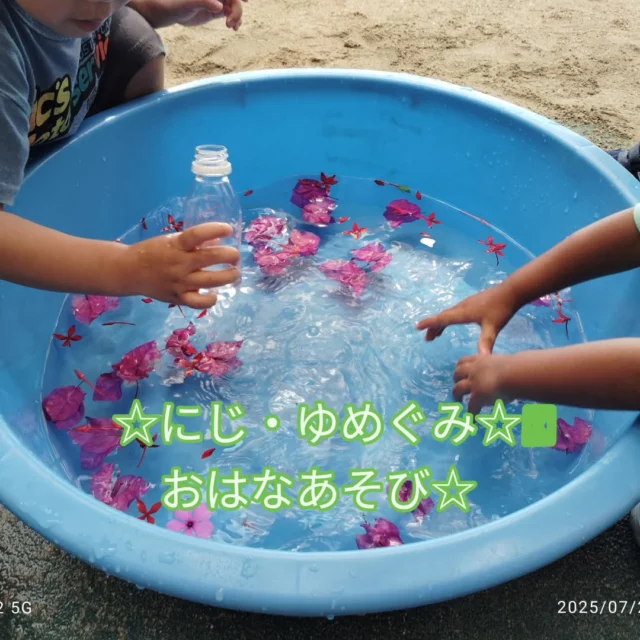 にじ・ゆめぐみさんは、おはなあそびをしましたよ☆

#みやび認定こども園 
#おはなあそび
#色水あそび
#楽しい
#保育園
#子ども
#あそび