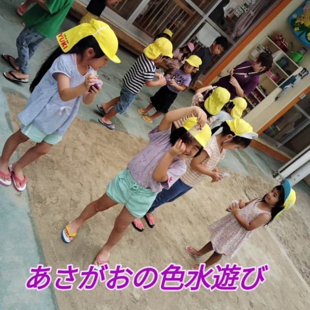そらぐみさんは、あさがおの種をまいて、約１ヶ月。芽が出てつぼみが出来てお花が咲きました！！
あさがおの折り紙を作ったり、色水遊びを楽しみましたよ☆
#みやび認定こども園 
#あさがお
#色水遊び
