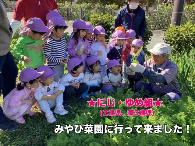 2026/01/16
にじ・ゆめ組さん(２歳児、満３歳児クラス)がみやび菜園にお出かけしました。お世話になっている洲鎌さんに、菜園を案内してもらい、人参と春菊を収穫させてもらいました🥕採れたての野菜を初めて触る子もいてドキドキな子ども達でした🥰
水かけも体験して嬉しそうでしたよ☺️
#みやび認定こども園 #みやび菜園 #食育