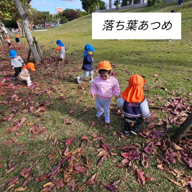 ０歳児クラス、１歳児クラスで近くの広場へ行きました。
歩いたり、走ったり、落ち葉踏み。感触遊び大事な時期の子どもたちには最高の遊び場です。
芝生の坂をのぼり降り。足元危なくない？と心配する保育士。子どもたちは自分のペースで一歩ずつ。楽しんでいました。

#広場遊び
#沖縄１月この陽気
#遊びが仕事
#一生懸命な後ろ姿たまらない
#保育士も一緒に楽しもう
