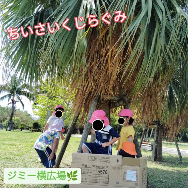 気持ちのいいお天気♪前回ジミー横広場に行った際に「今度草すべりしたいね〜」と話になったので今日は段ボールを持っていくも、うまくは滑らず···（笑）でも、友達が後ろから押して滑ってみたり、布団のようにしてひなたぼっこをしたり、レジャーシートのようにして友達とごっこ遊びをしたりと、子ども達様々な遊びに変換させて楽しんでいましたよ♪子ども達は遊びの天才ですね〜✨️

#みやびの杜保育園 
#ちいさいくじら組