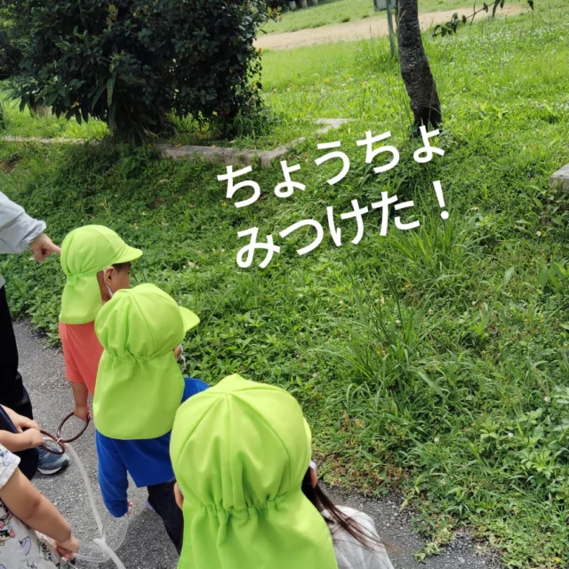 ２歳児いるか組
今日は東原公園へお散歩へでかけました。たくさんのちょうちょを見つけて大喜び❢
次はどんな虫をみつけようかな？